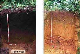  Terra Preta of Zwarte Aarde